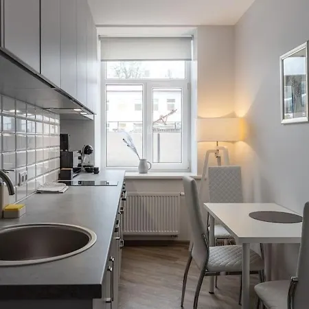 Apartment In A Renovated Property, 30 M2 里加 外观 照片
