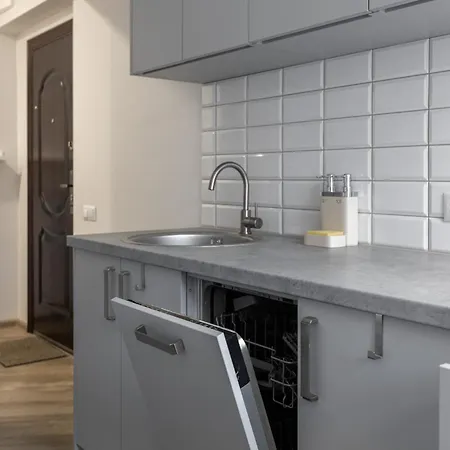 Apartment In A Renovated Property, 30 M2 里加 外观 照片